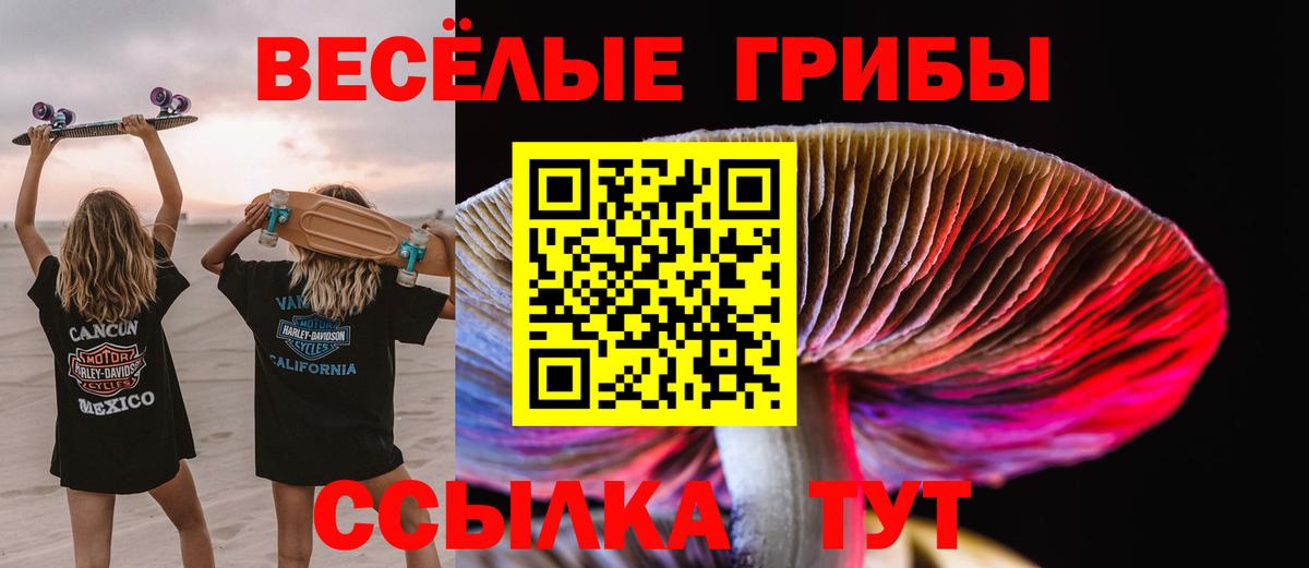 Галлюциногенные грибы мухоморы Богданович