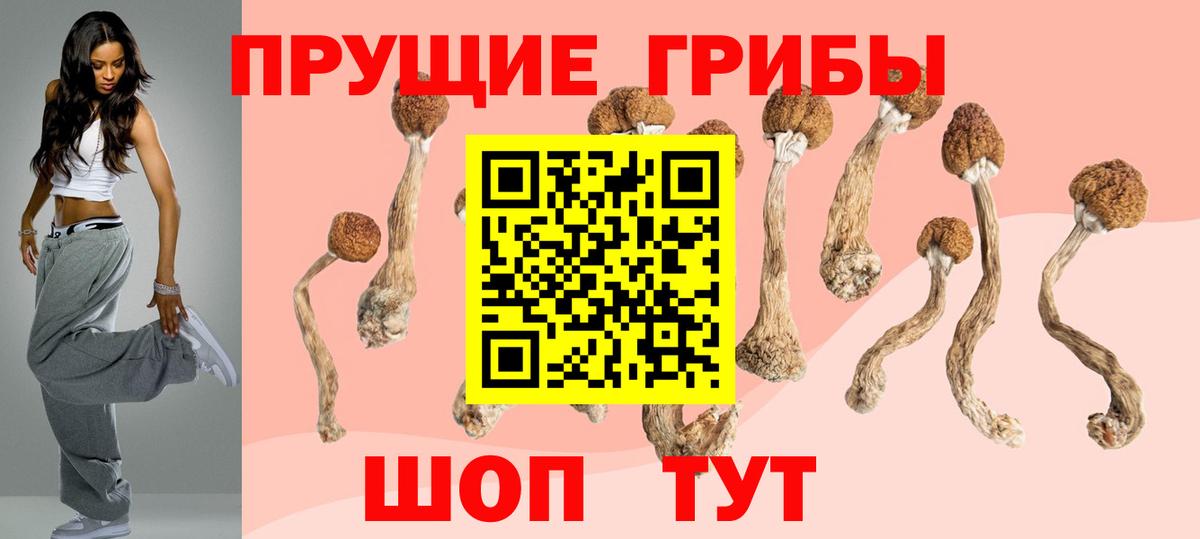 Галлюциногенные грибы ЛСД  Вход с VPN  Богданович 